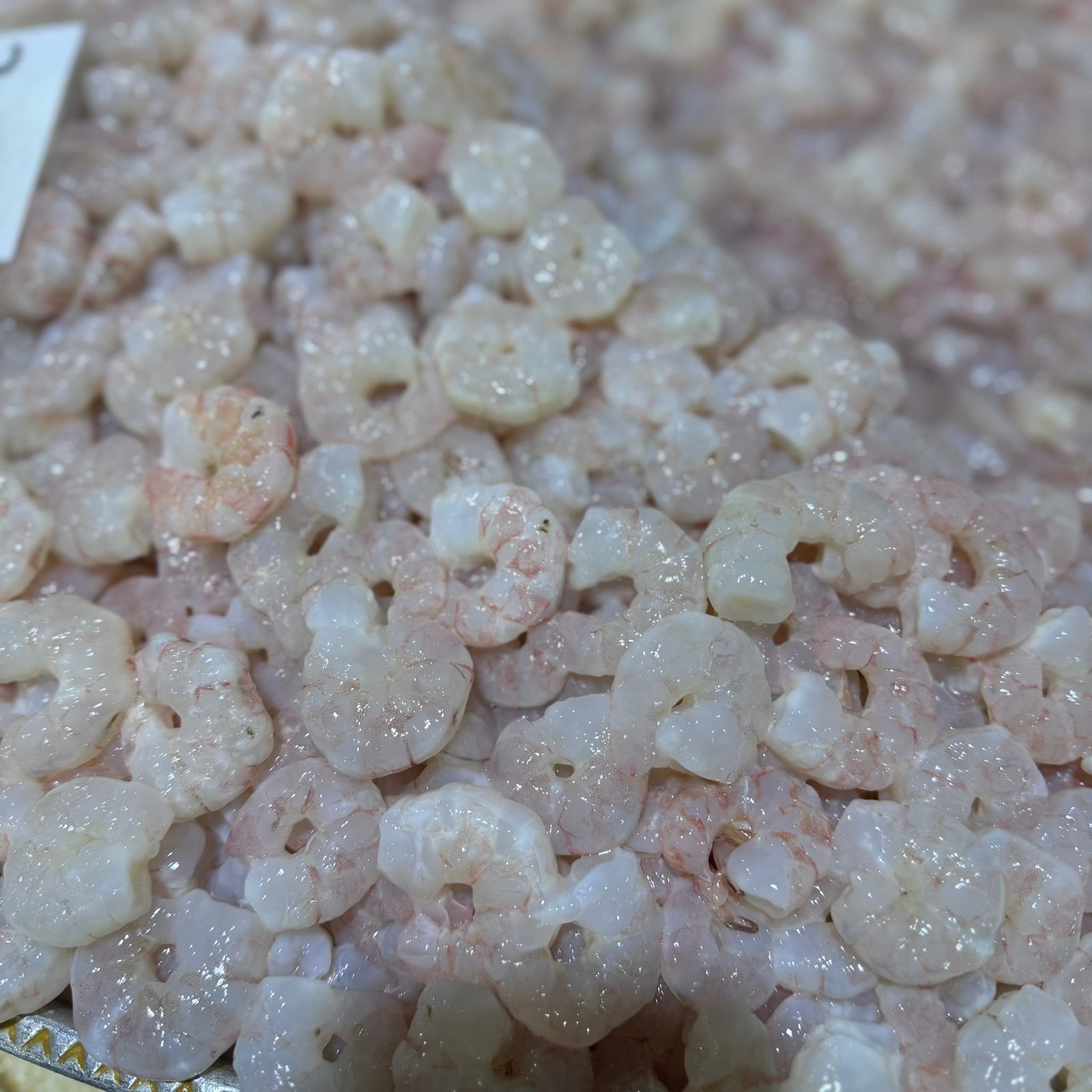 2025/11/1000294844.jpg Fresh Praws Size small - Image 1