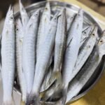 Fresh Barracuda Fish